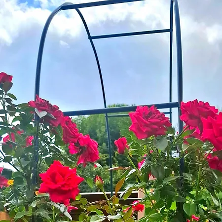 Casa Happy * Sestri Levante